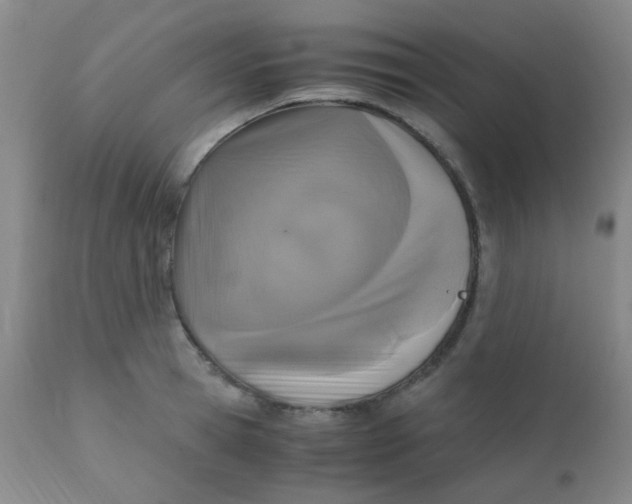 X0000110730945200907022107