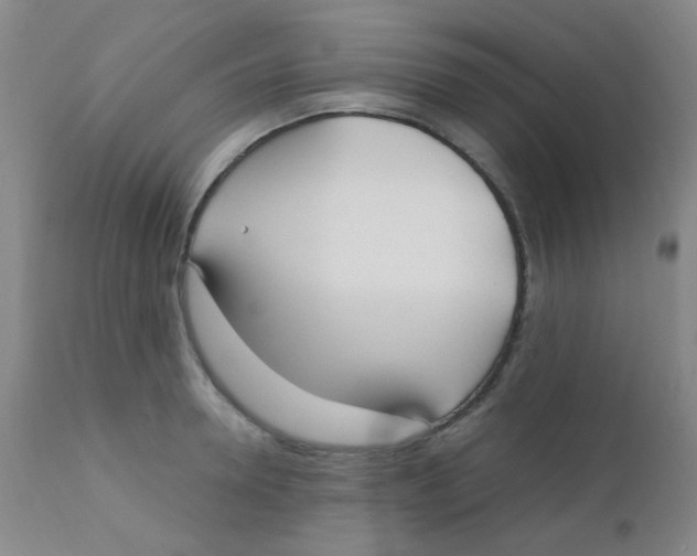 X0000110730946200907022107