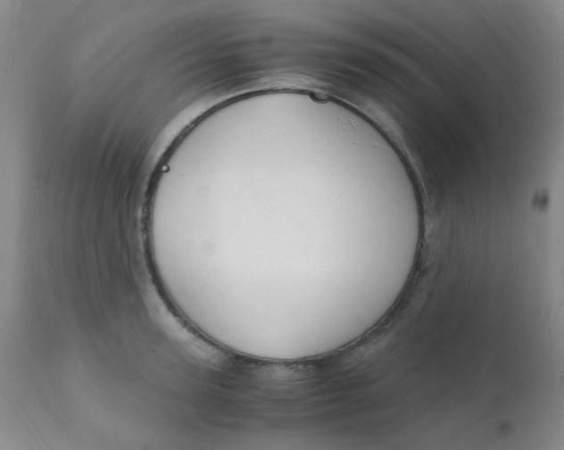 X0000110730947200907022107