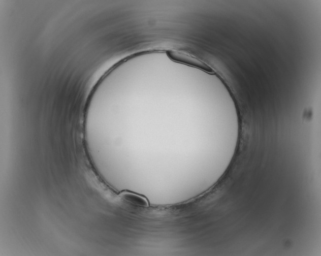 X0000110730948200907022107