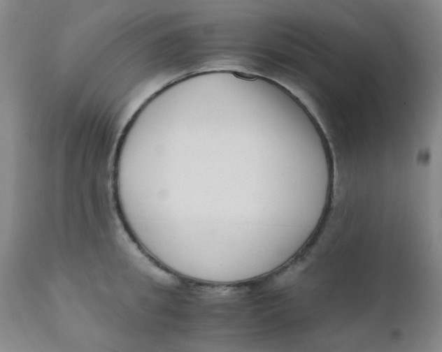 X0000110730949200907022107