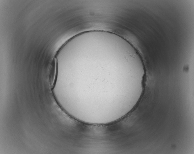 X0000110730952200907022107