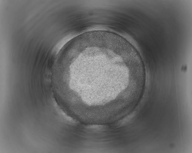 X0000110730953200907022107