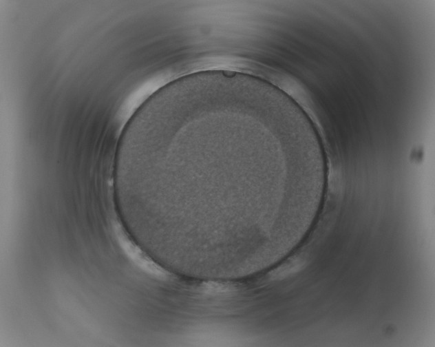 X0000110730954200907022107