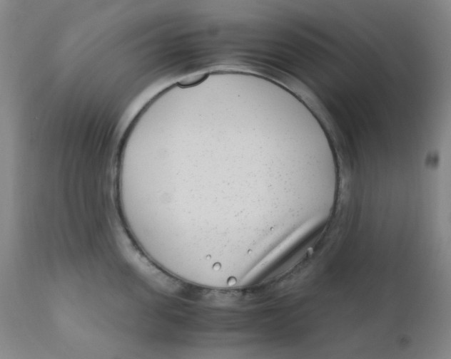 X0000110730955200907022107