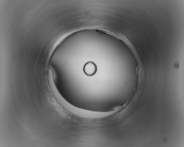 X0000110730956200907022107