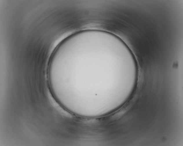 X0000110730957200907022107