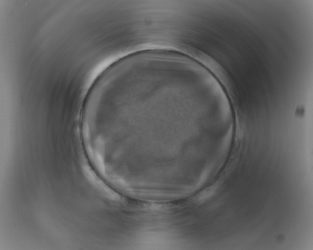 X0000110730958200907022107