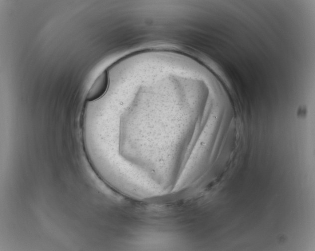 X0000110730959200907022107