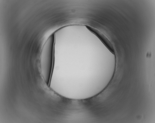 X0000110730960200907022107