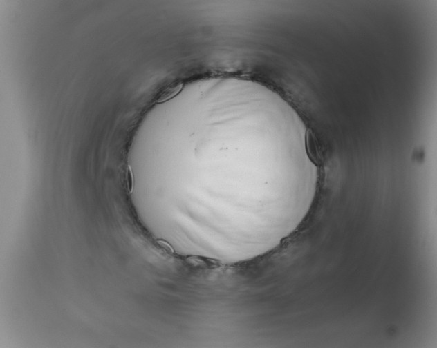 X0000110730961200907022106