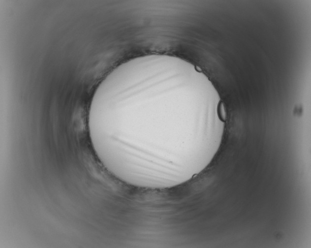 X0000110730962200907022106