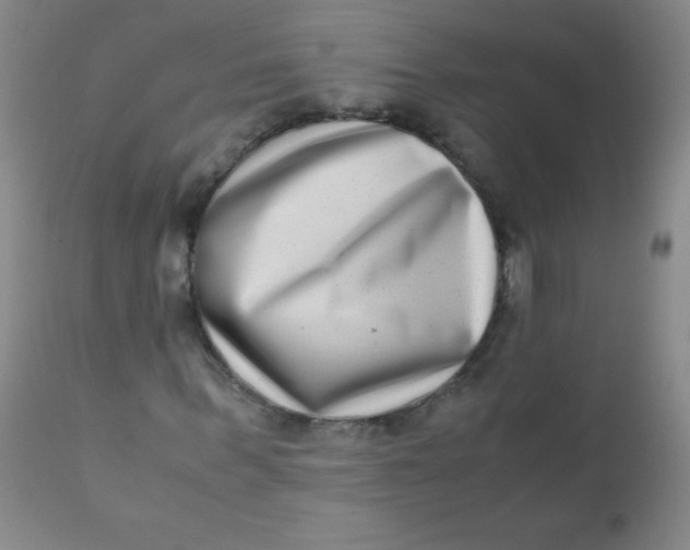 X0000110730963200907022106