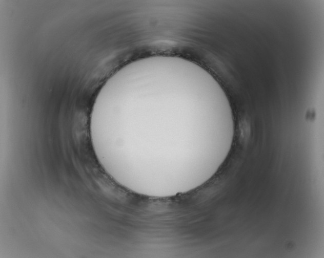 X0000110730964200907022106