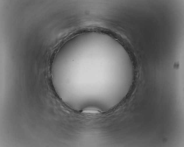 X0000110730965200907022106