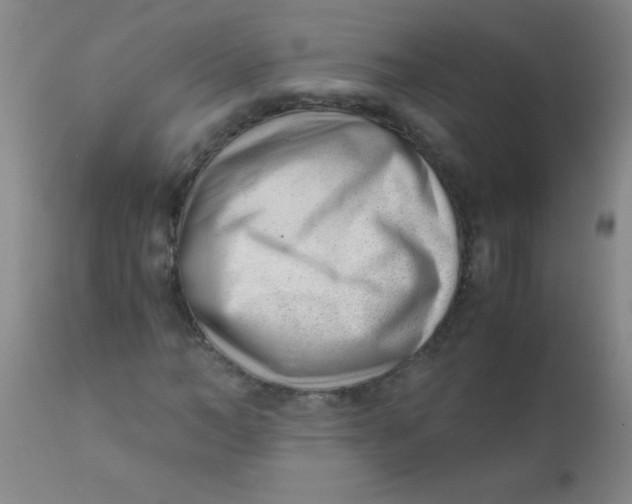 X0000110730966200907022106