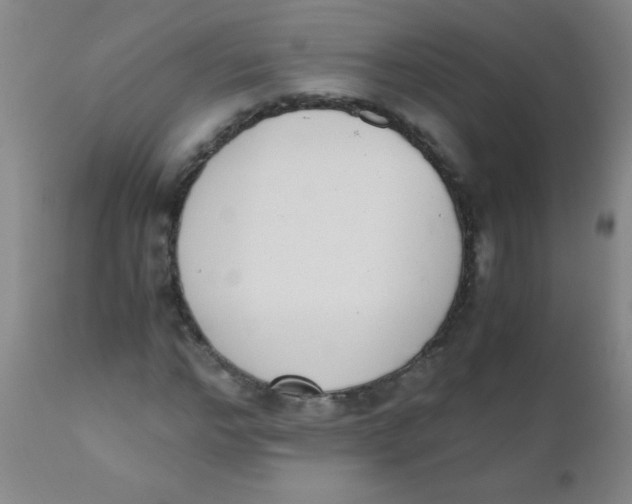 X0000110730968200907022106