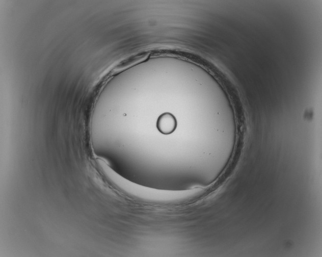 X0000110730969200907022106