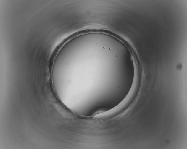 X0000110730973200907022106