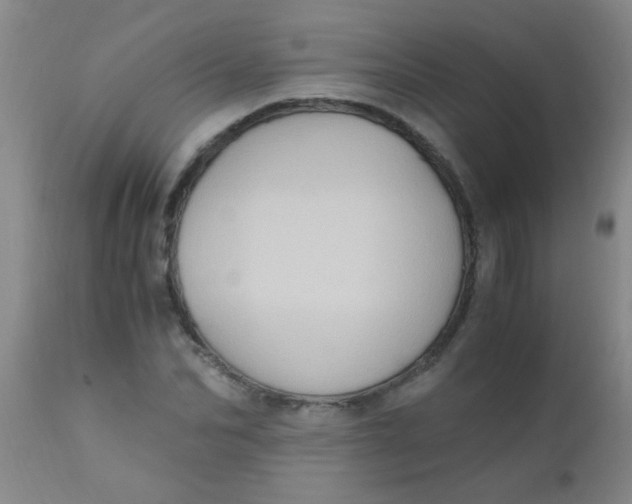 X0000110730974200907022106