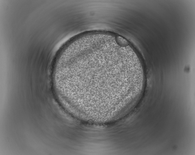 X0000110730975200907022106