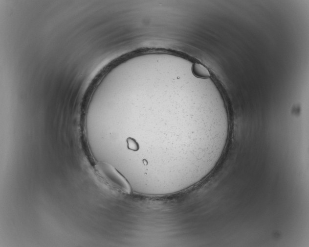 X0000110730976200907022106