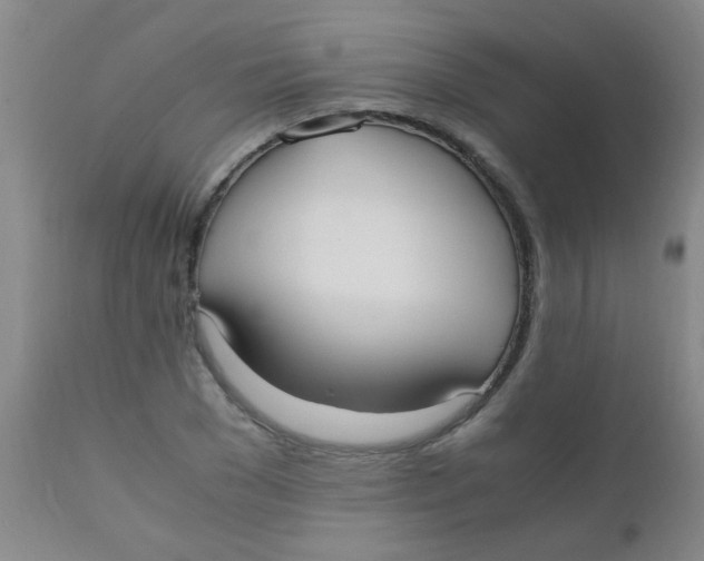 X0000110730977200907022106