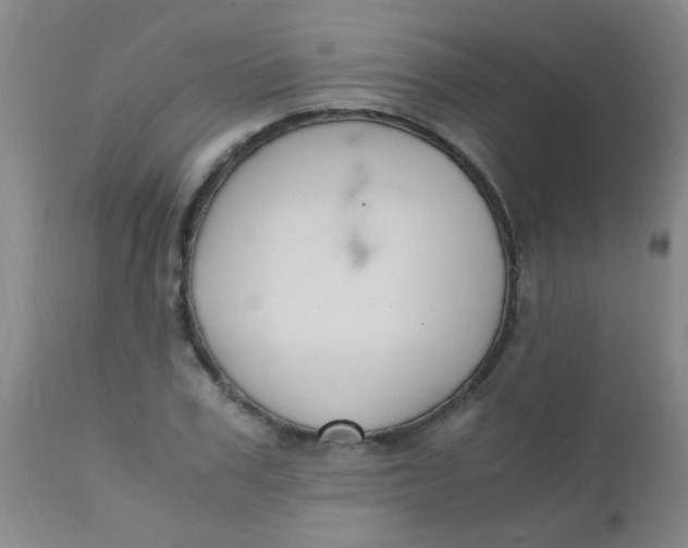 X0000110730979200907022106