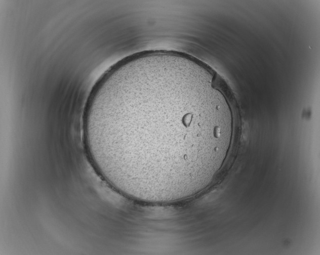 X0000110730980200907022106