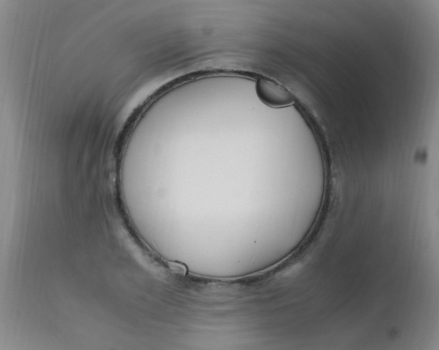 X0000110730981200907022106