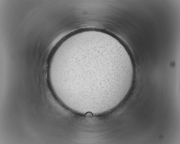 X0000110730983200907022106