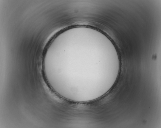 X0000110730984200907022106