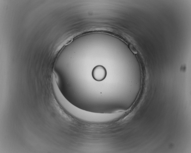 X0000110730985200907022106