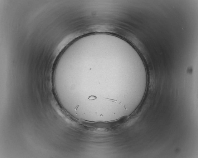 X0000110730986200907022106