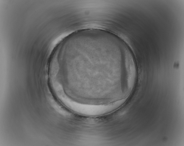 X0000110730987200907022106