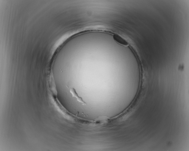 X0000110730989200907022106