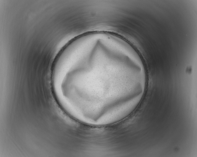 X0000110730990200907022106