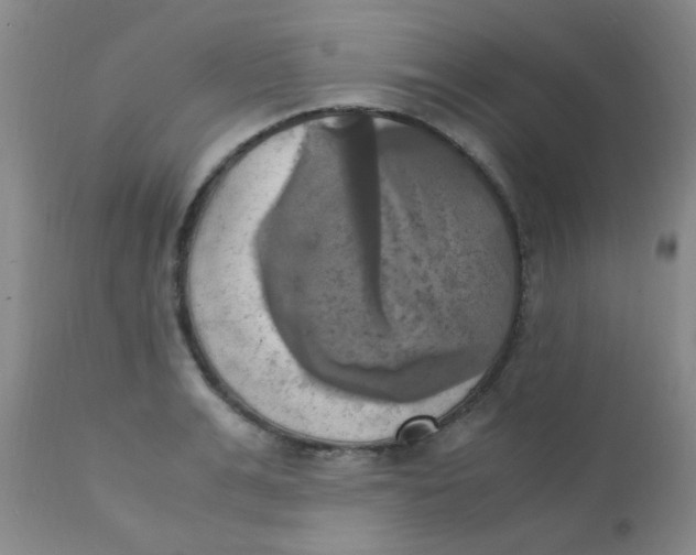 X0000110730991200907022106