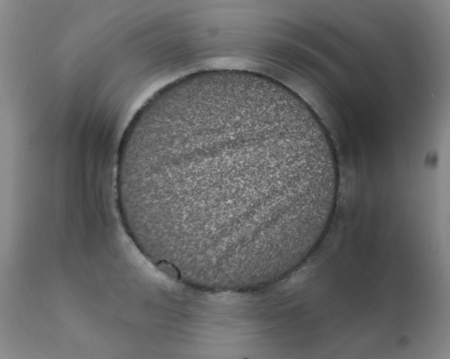 X0000110730992200907022106