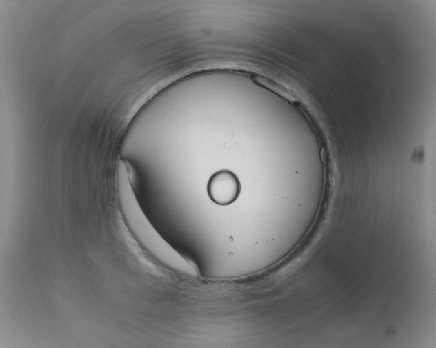 X0000110730993200907022106