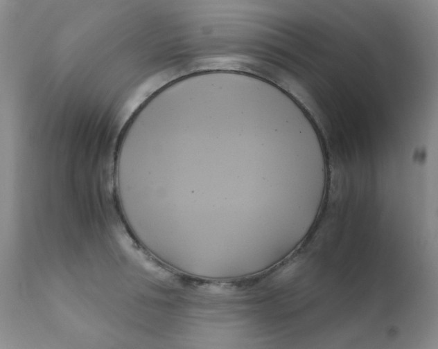 X0000110730994200907022106