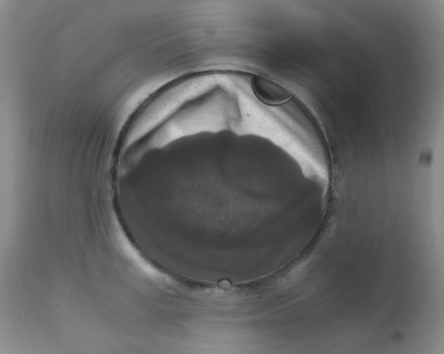 X0000110730995200907022106