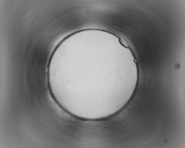 X0000110730996200907022106