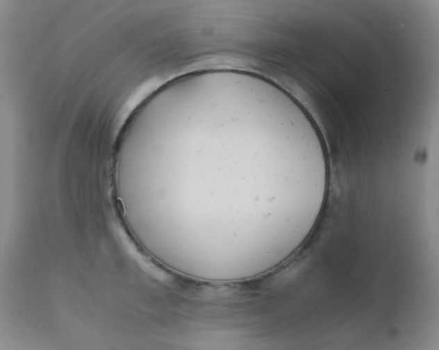 X0000110730997200907022106