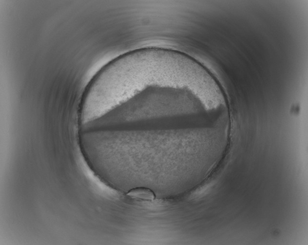 X0000110730999200907022106