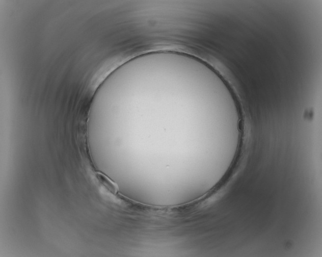 X0000110731001200907022106