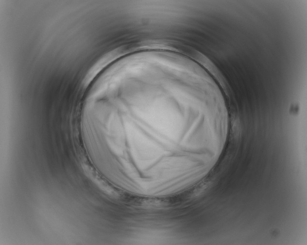 X0000110731002200907022106