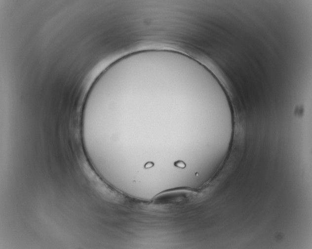 X0000110731004200907022106