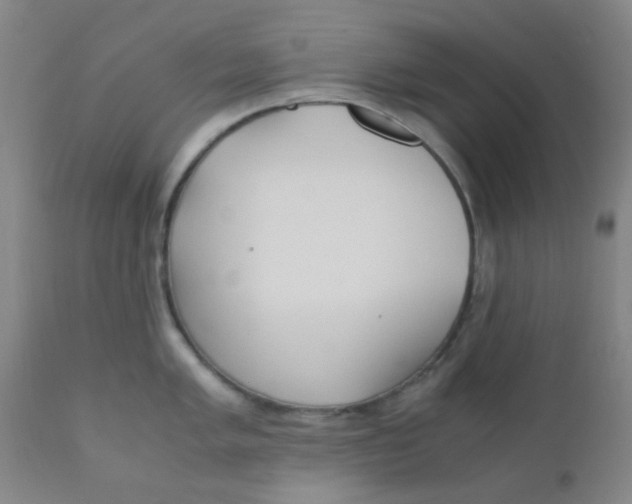 X0000110731005200907022106