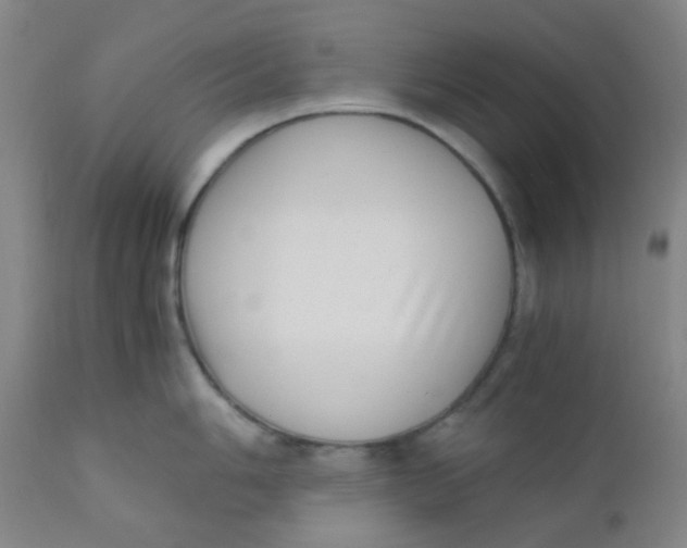 X0000110731006200907022106